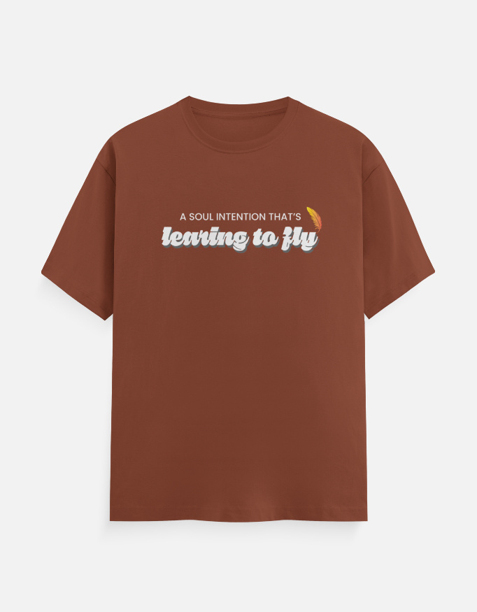 Pink Floyd Learning to fly T-Shirt Copper